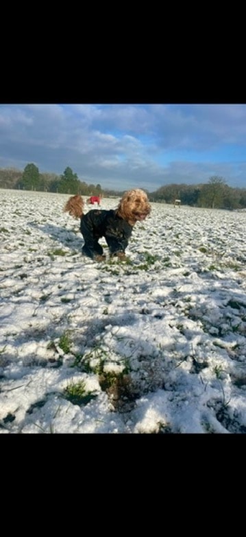 Adventure in the snow
