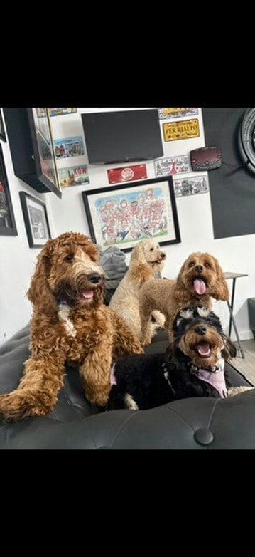 Happy gang on the sofa